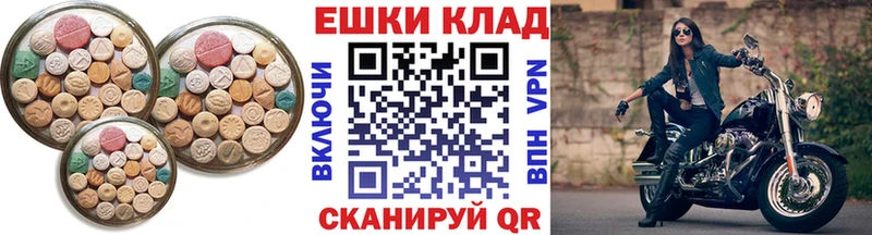 Купить где Сосногорск ЭКСТАЗИ Philipp Plein