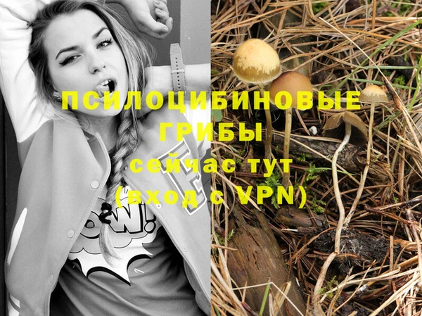 марихуана Баксан