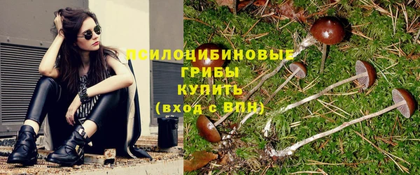 тгк Балахна