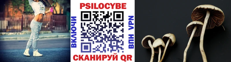 Купить  Сосногорск  Галлюциногенные грибы мицелий 